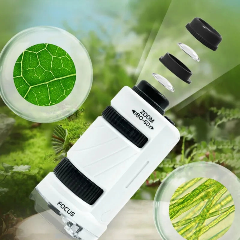Pocket Microscope – 60x to 180x Magnification