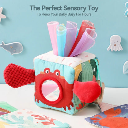 Creative Baby Sensory Tissue Box Toy