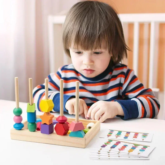 Montessori Wooden Colour & Shape Matching Puzzle
