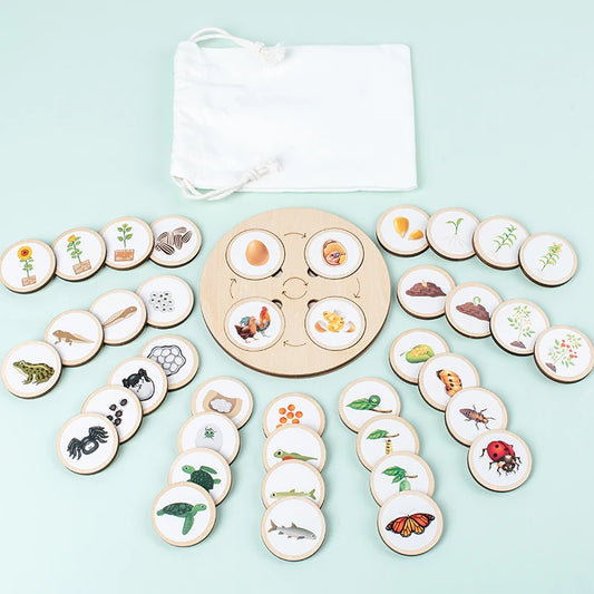 Montessori Life Cycle Learning Kit